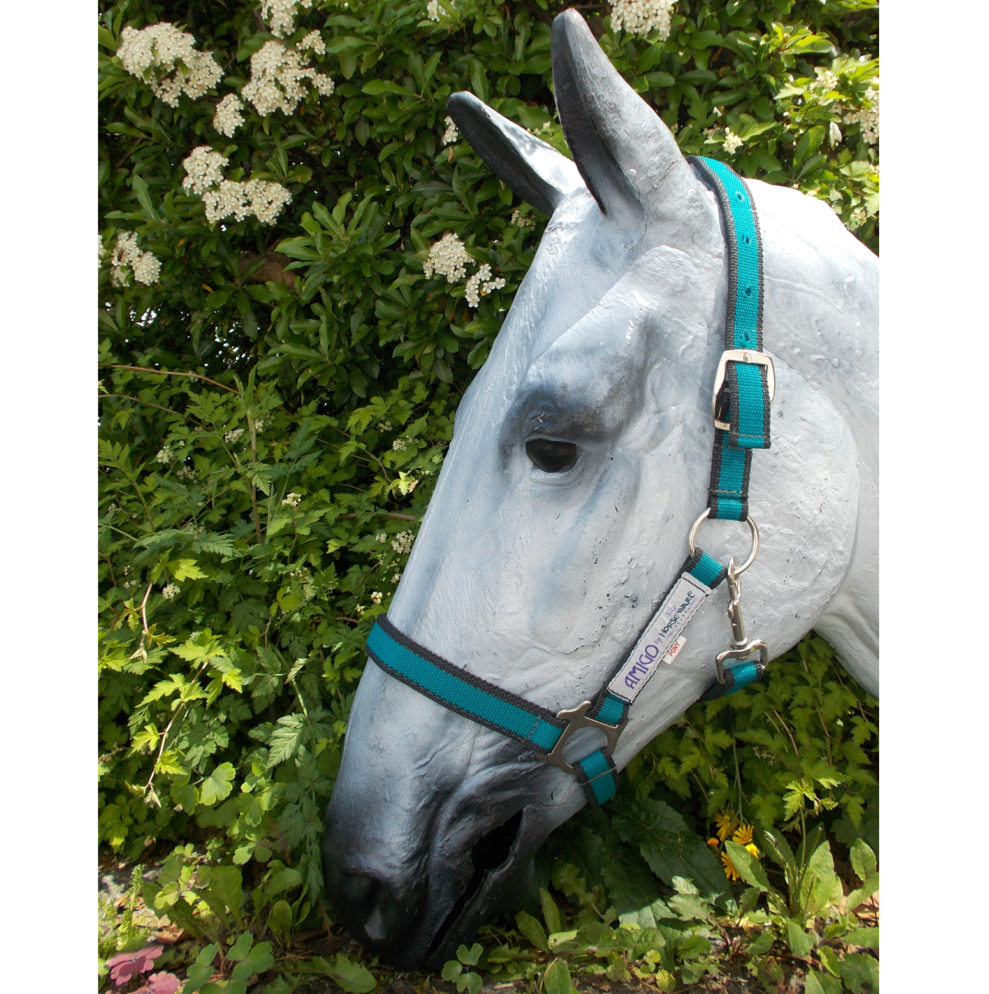 Horseware Amigo Halfter, stabiles Nylon Halfter, aqua / excalibu